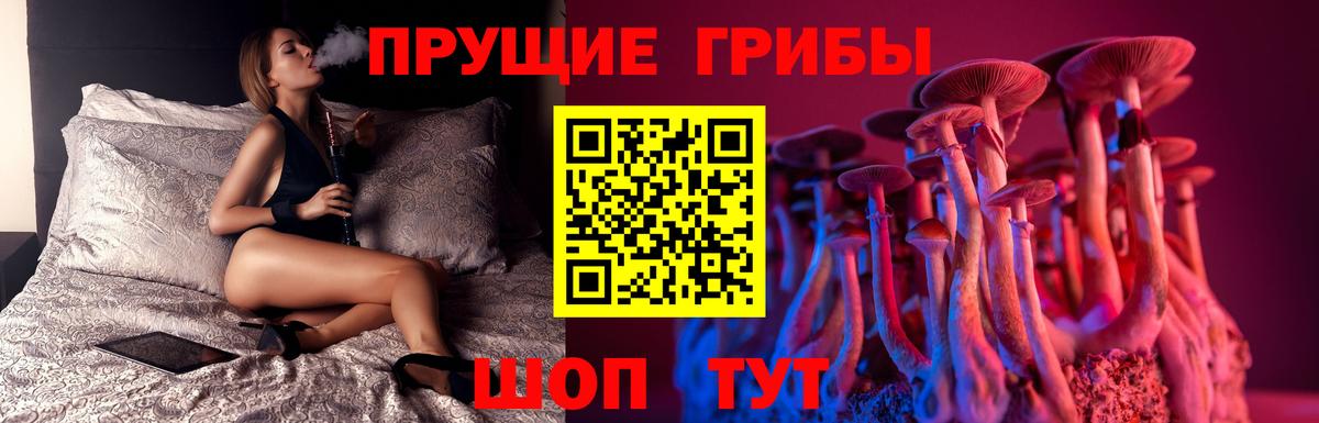 Псилоцибиновые грибы ЛСД Мытищи