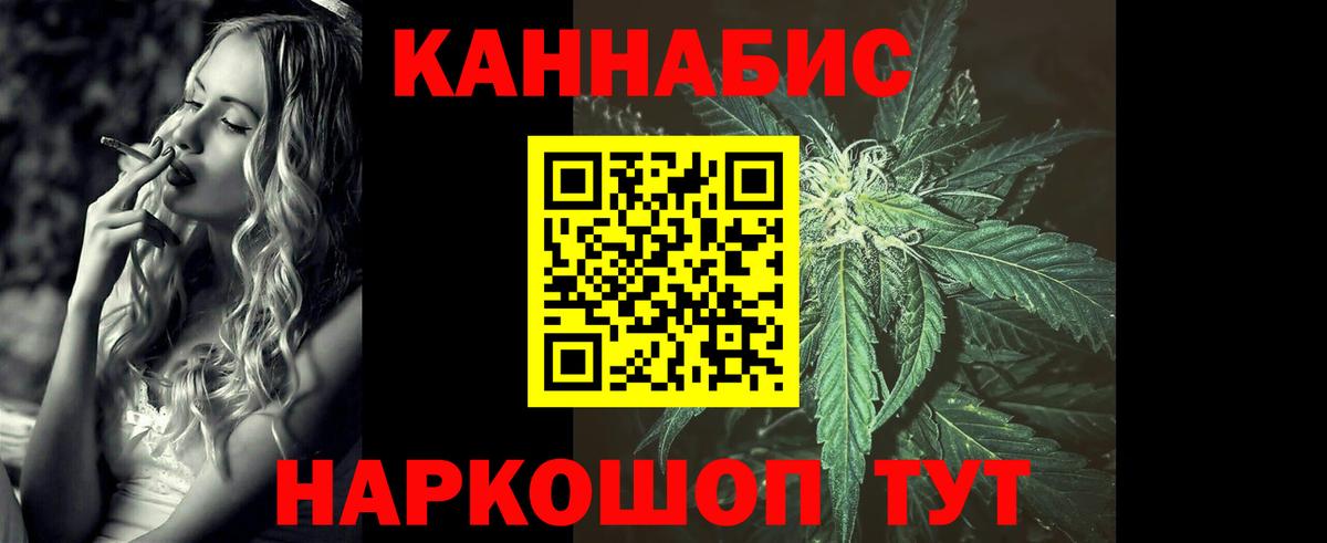 Конопля ГИДРОПОН  Вход с VPN  Канабис Bruce Banner  Мытищи  Конопля OG Kush 