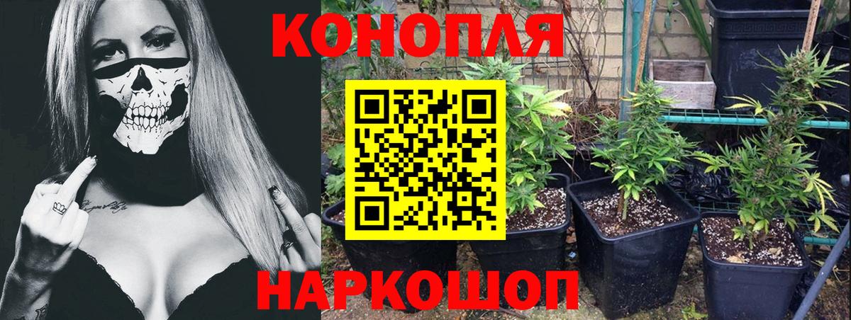 Марихуана конопля Мытищи